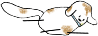 Hond